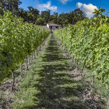 Les Pouges * Saint-Avit-Saint-Nazaire